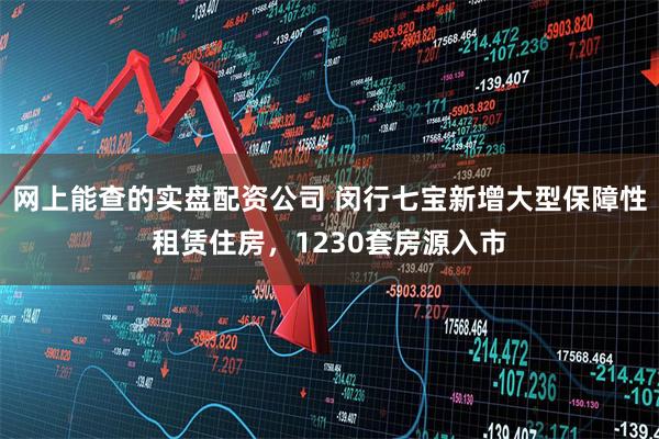 网上能查的实盘配资公司 闵行七宝新增大型保障性租赁住房，1230套房源入市