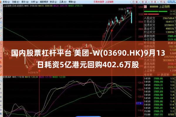 国内股票杠杆平台 美团-W(03690.HK)9月13日耗资5亿港元回购402.6万股