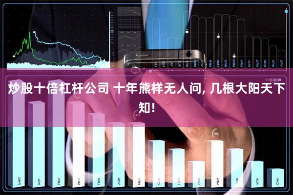 炒股十倍杠杆公司 十年熊样无人问, 几根大阳天下知!