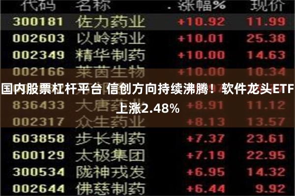 国内股票杠杆平台 信创方向持续沸腾！软件龙头ETF上涨2.48%