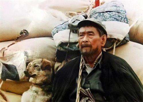 潘红吃瓜小狗,揭秘娱乐圈的趣味瞬间