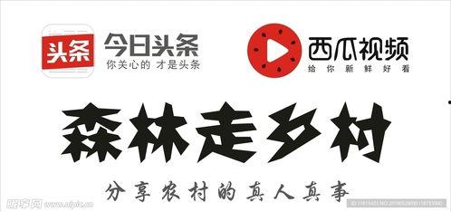 今日头条的设计展览,探索创新视觉艺术之旅