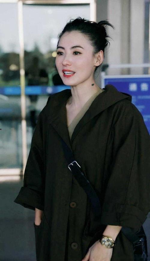 大版型明星,揭秘大版型明星的闪耀人生