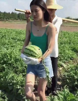 吃瓜吊带跳舞图片搞笑,搞笑瞬间引网友爆笑