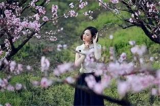 西安头条桃之夭,西安古城里的浪漫邂逅