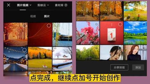 网红圆形透明球特效视频,打造视觉盛宴的秘密武器