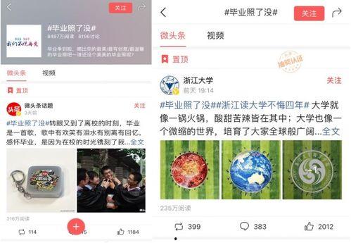 关于吃的微头条,探寻美食背后的故事与风情